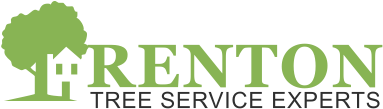 Renton Tree Service Experts Logo